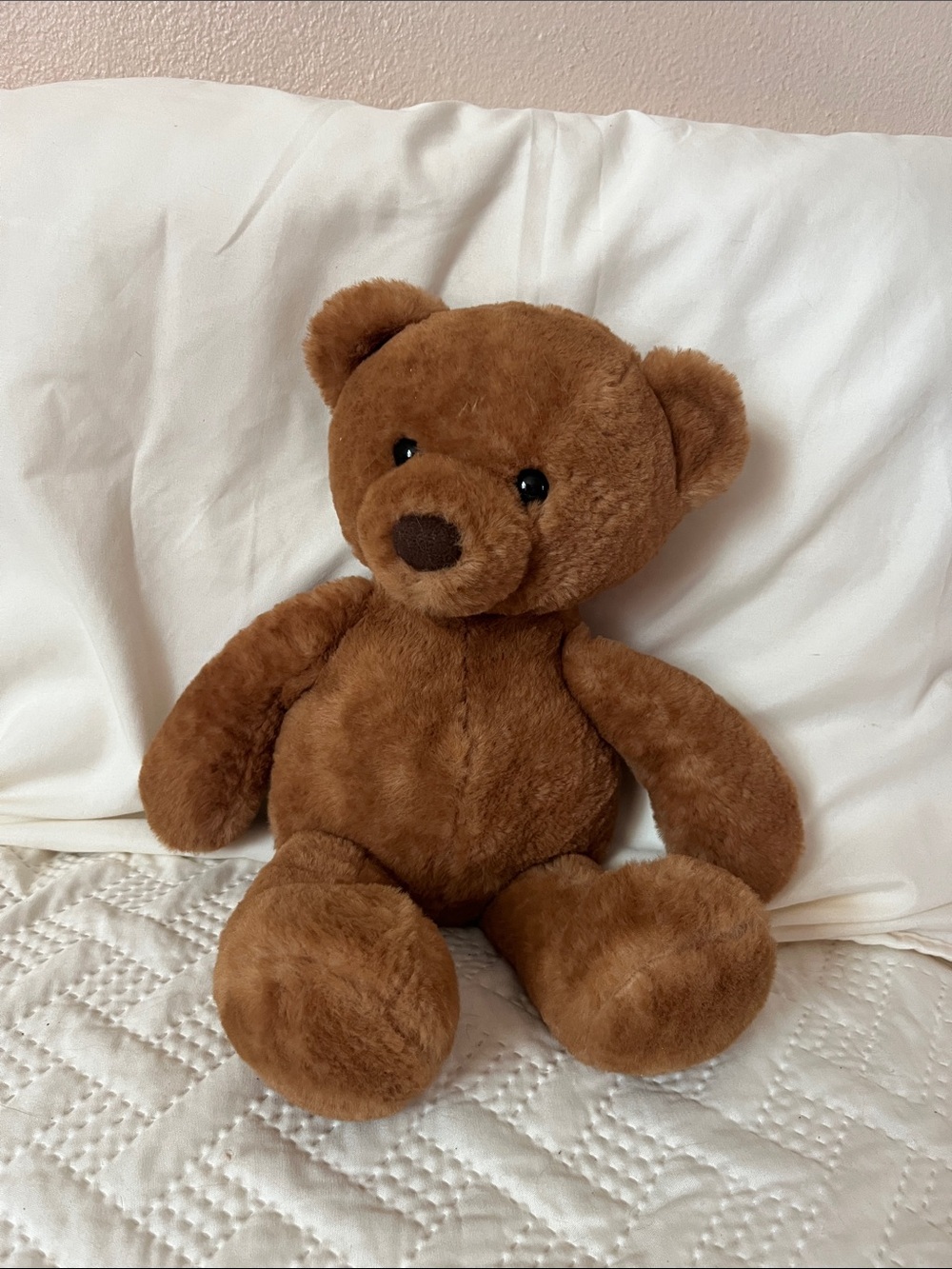 Aurora Plush Brown Teddy Bear Soft Cuddly Stuffed Animal